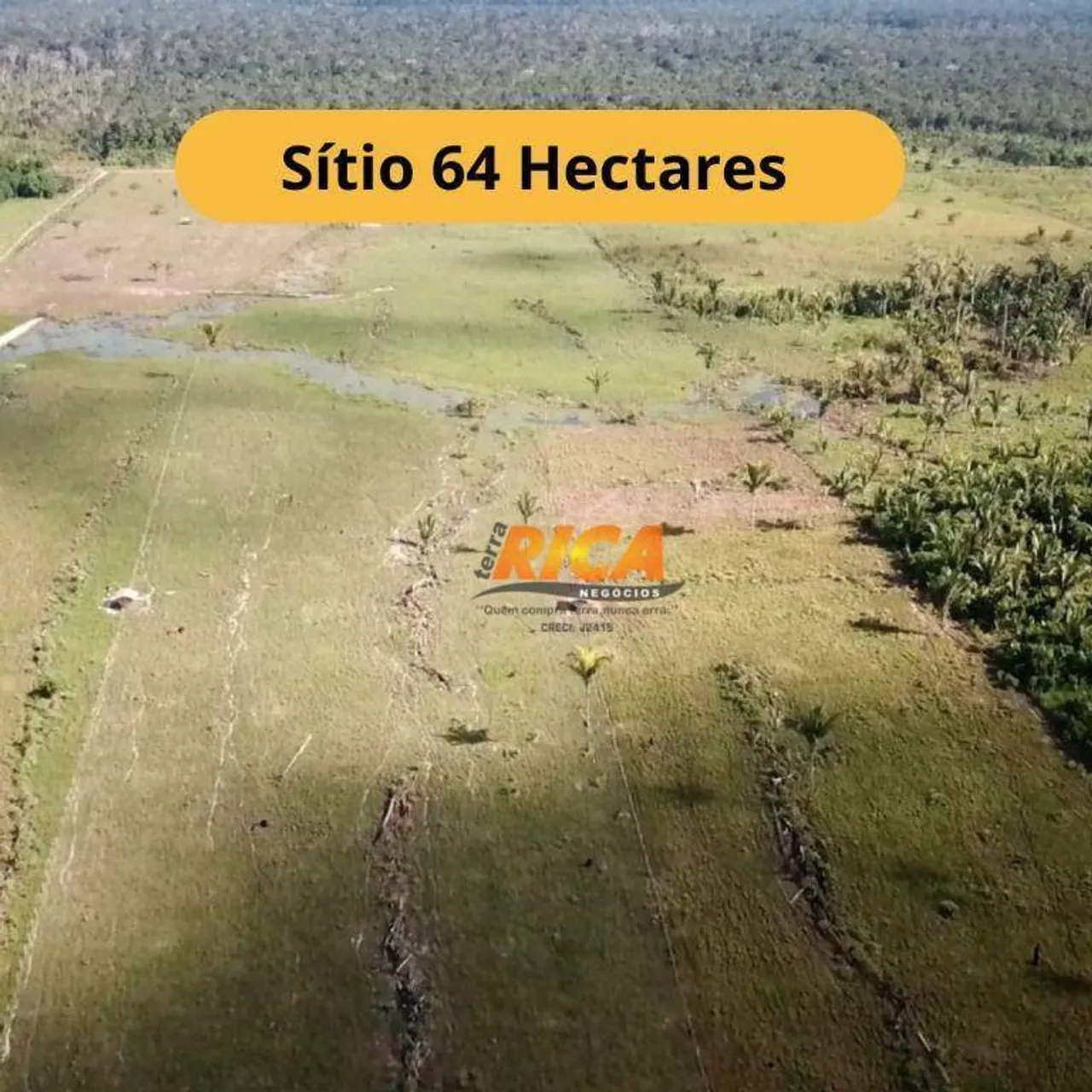 Excelente Sítio à venda, com 64 Hectares na Área Rural de Porto Velho/RO