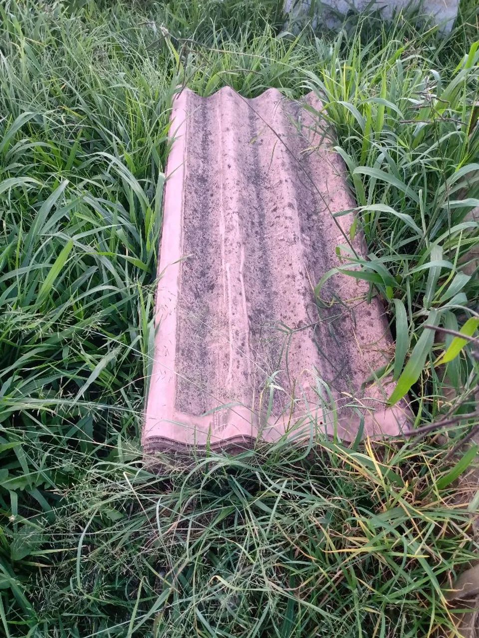 Madeiras para construção - Foto 3