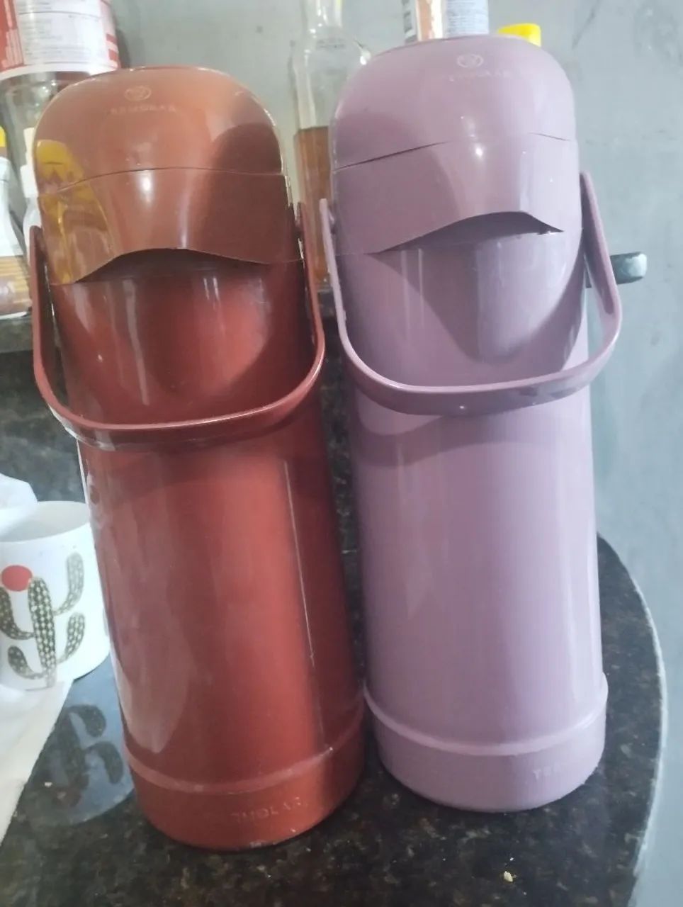 Termolar garrafa térmica seminovas