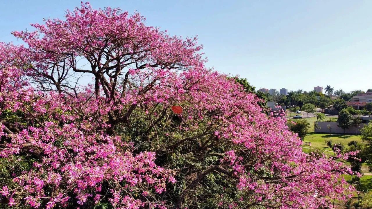 Terreno Alto Padrão com 533,60m², no Condomínio Reserva Santa Luisa, à venda em Ribeirão P - Foto 16