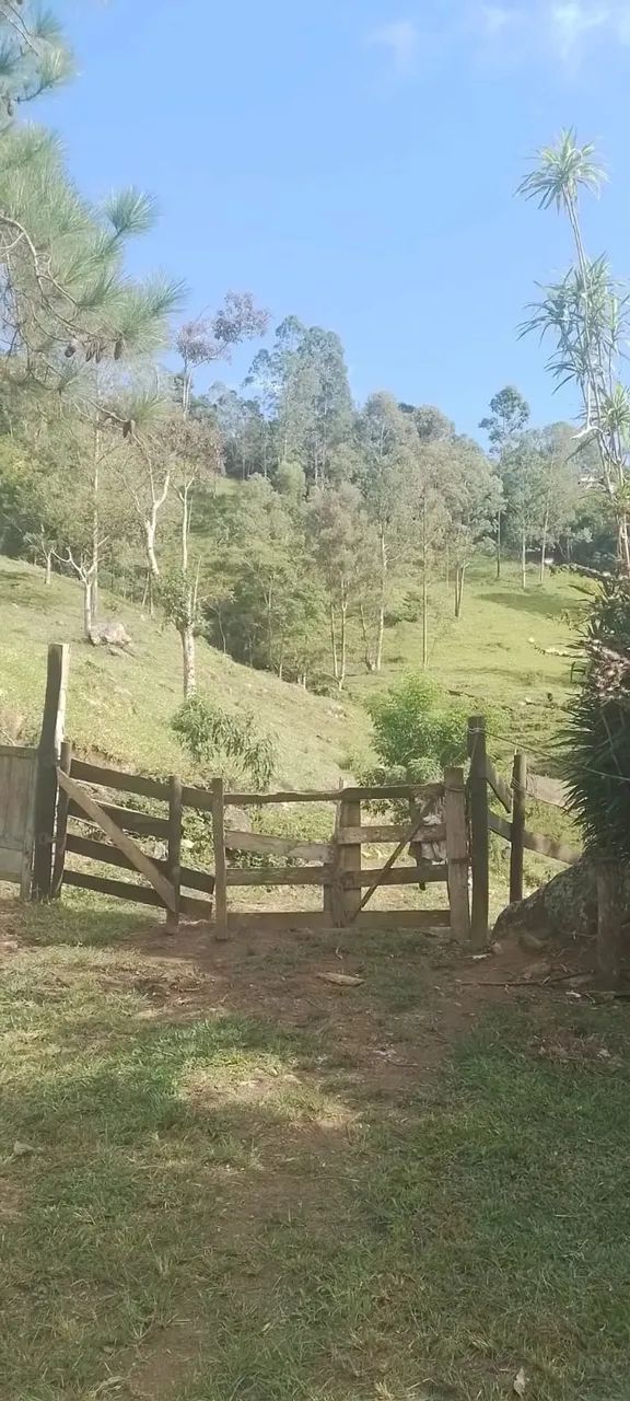Sítio para venda em Sodrelândia na Região Serrana em Trajano de Morais/RJ, 6,5 Alqueires,  - Foto 3