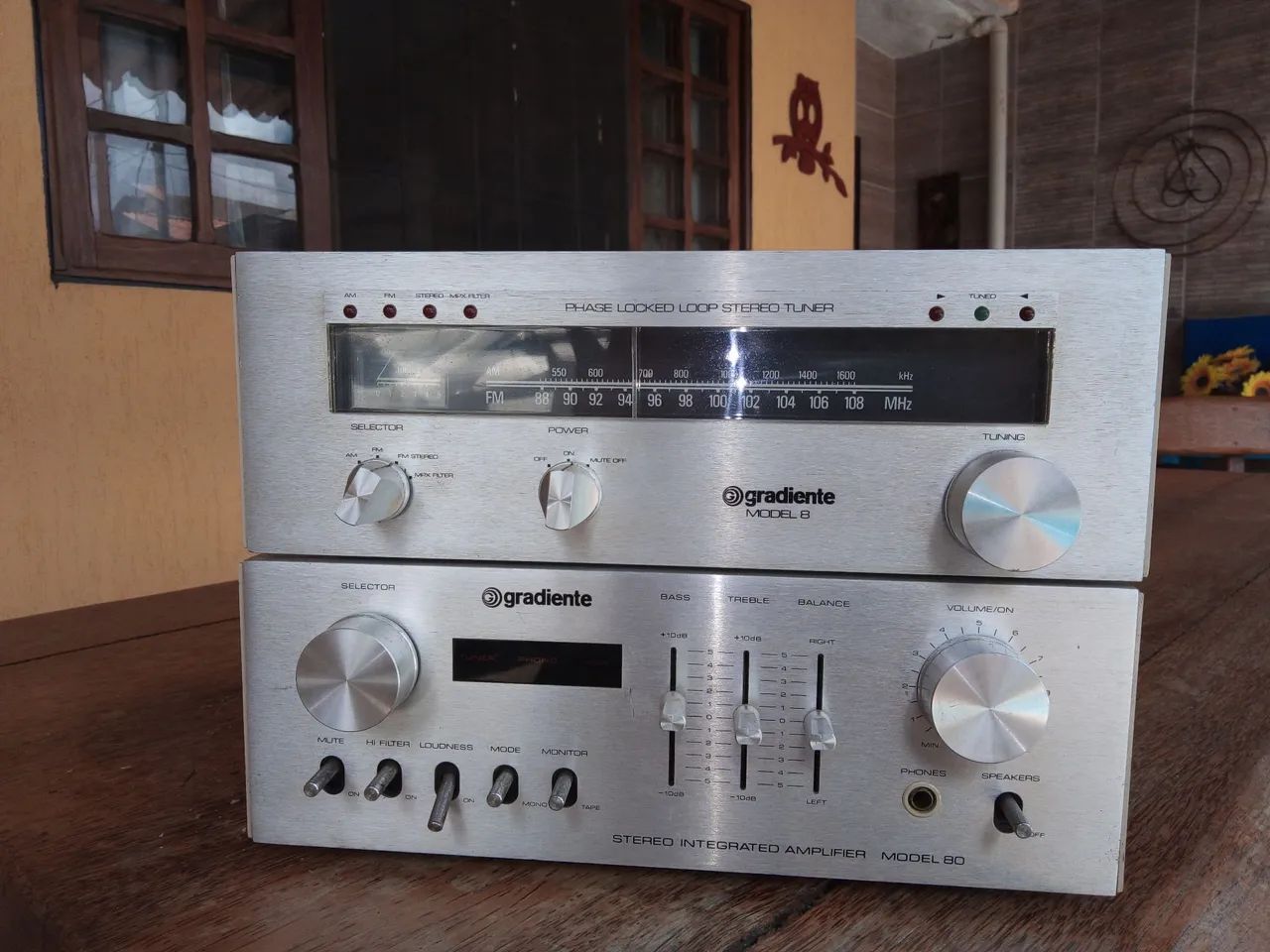 Conjunto gradiente vintage 