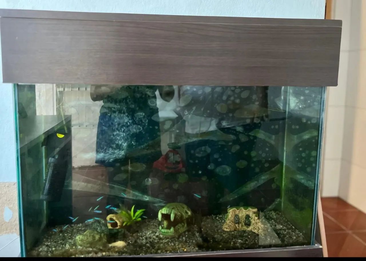 Black Friday  de verdade!64316920698627122