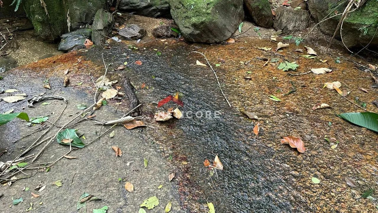 Sítio em Área Rural - Braço - Camboriú/SC - Foto 3