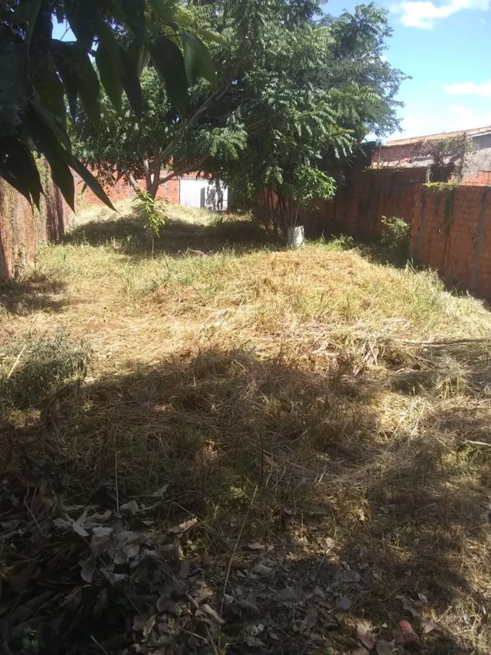 Terre em zona urbana 