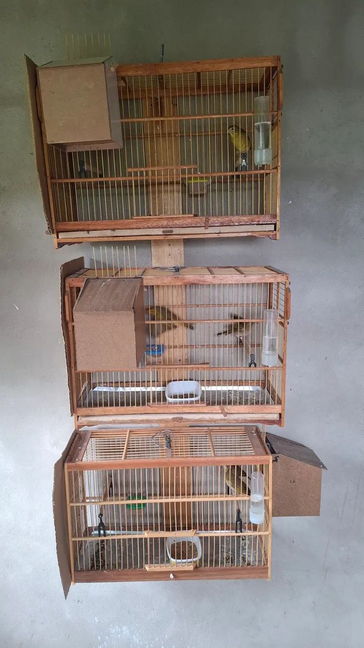 Cages 64313863752066124