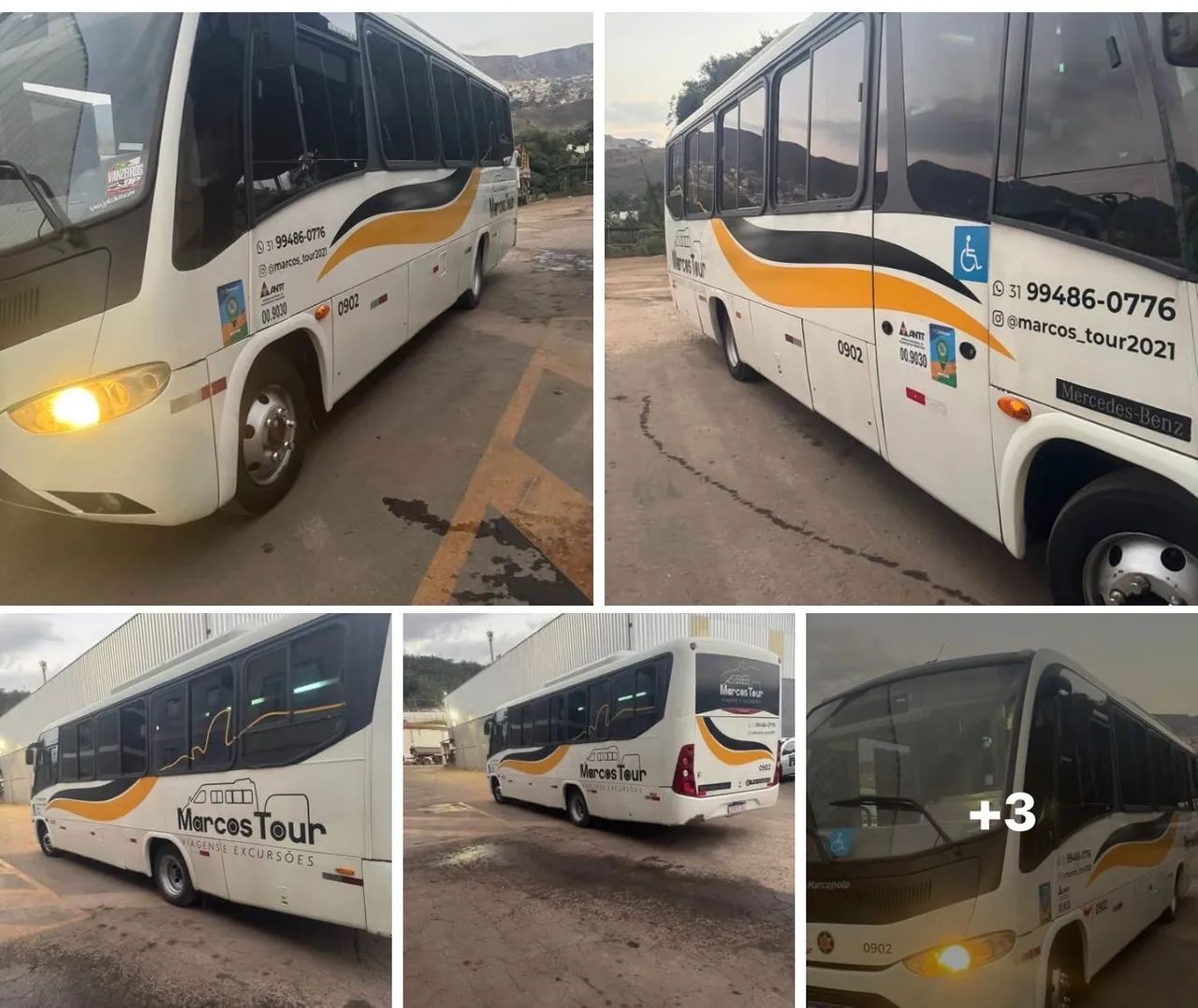 Macopolo senio  - Foto 4