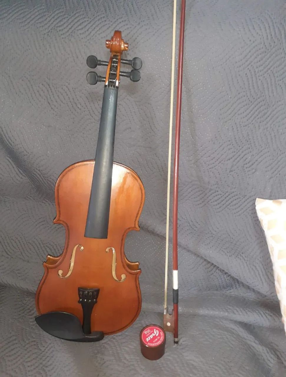 Violino 4/4 Parrot Usado