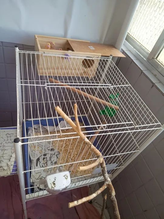 Gaiola para calopsita  - Foto 2