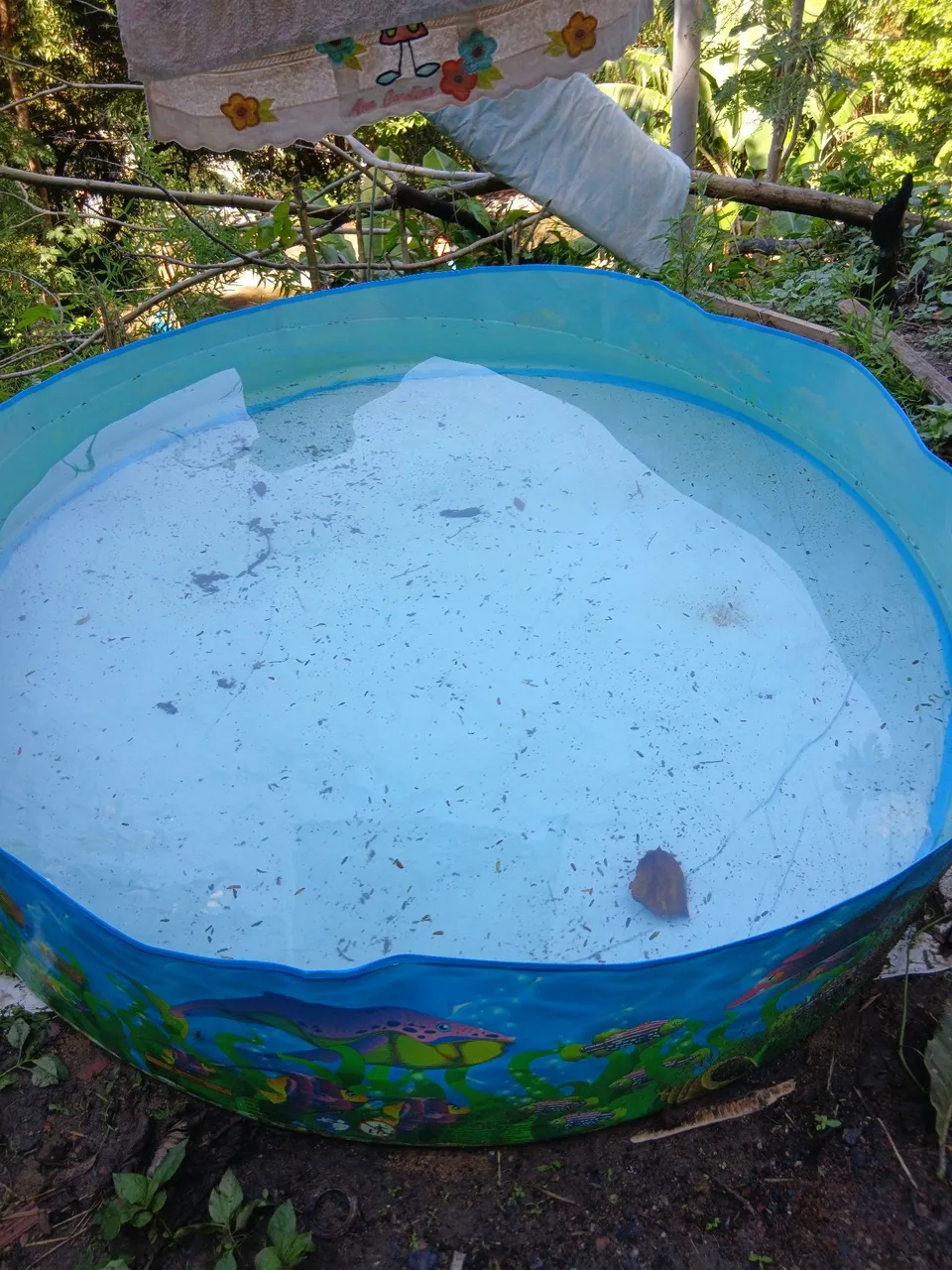 Piscina Infantil - Diversão Garantida