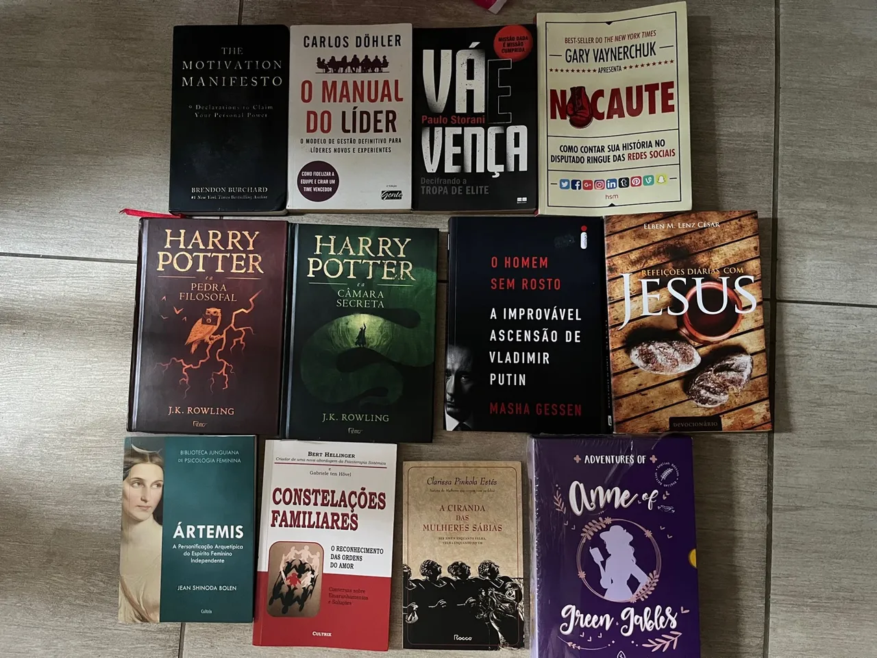 Livros Diversos - Harry Potter, Motivation Manifesto, O Manual do Líder, Arte, etc