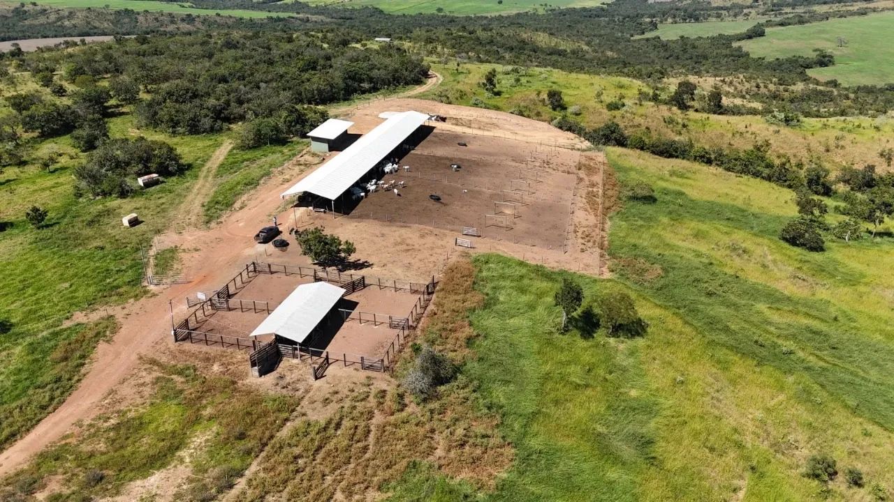 Fazenda de 178 alqueires em Ipameri-Go - Foto 5
