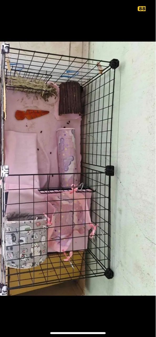 Casinha dois andares + porquinho da índia 