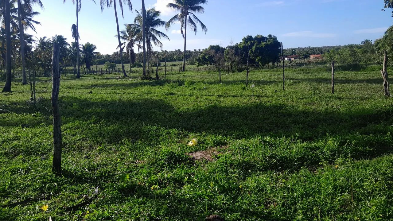 Vende se terreno  - Foto 2