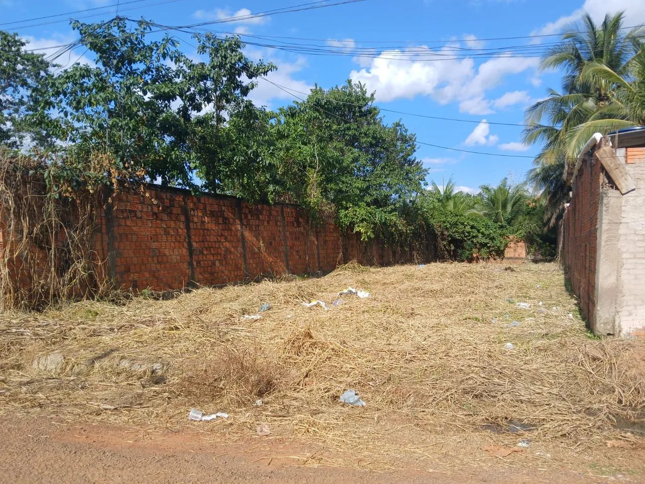 Foto - Rio Branco - Floresta Sul