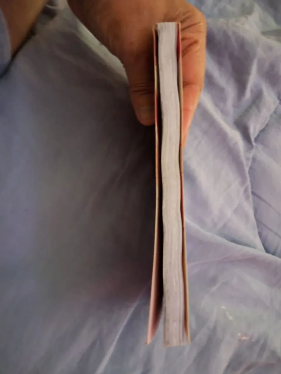 Mangá - Foto 2