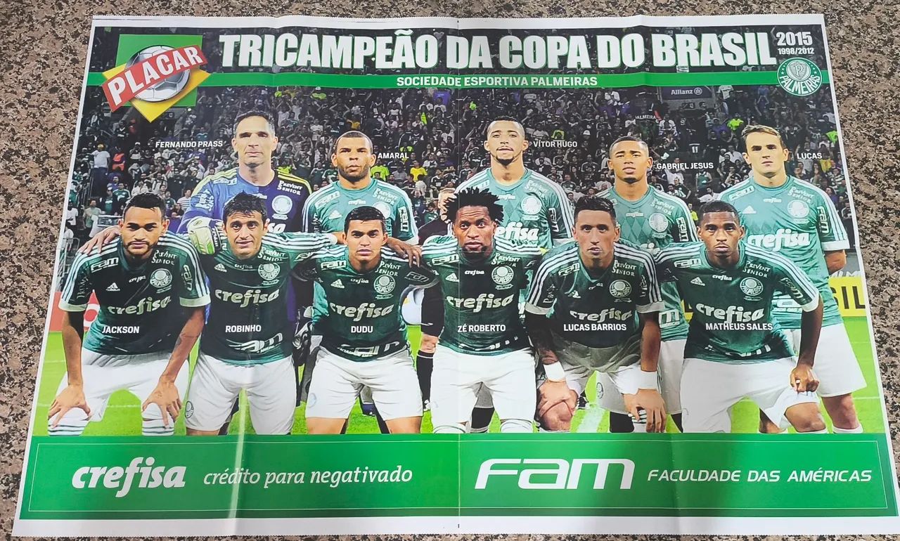 Poster Palmeiras Copa do Brasil 2015 - Foto 3