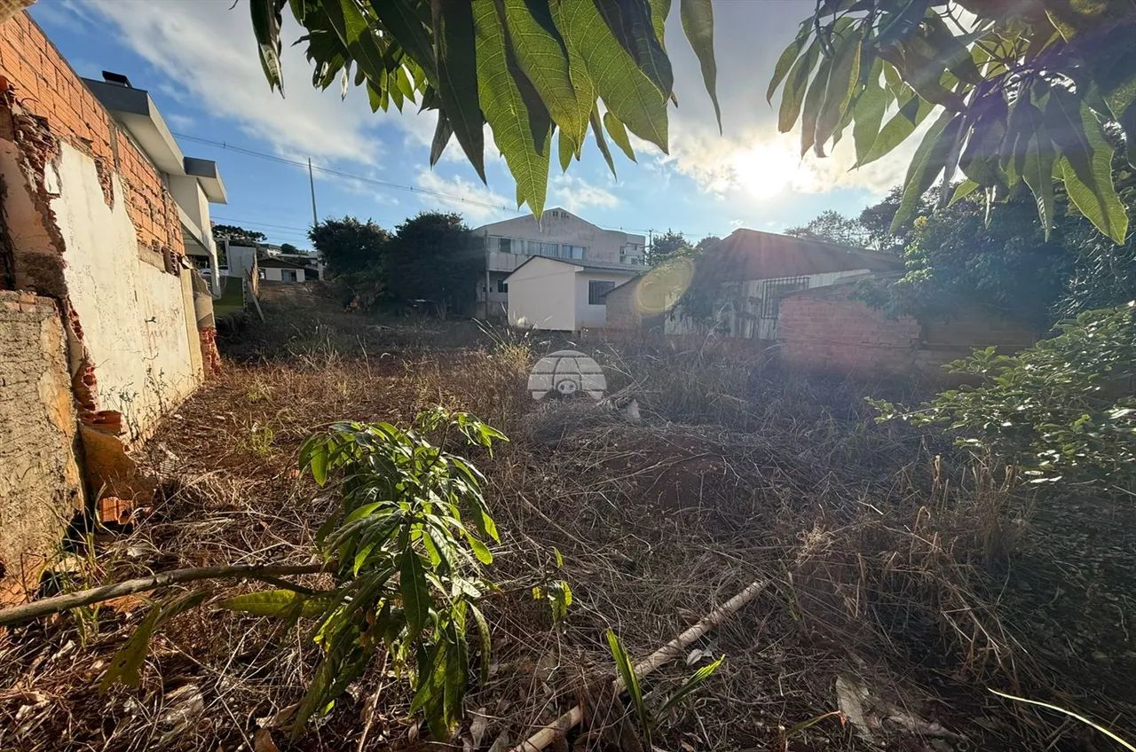Vendas Terreno Pato Branco PR - Foto 4