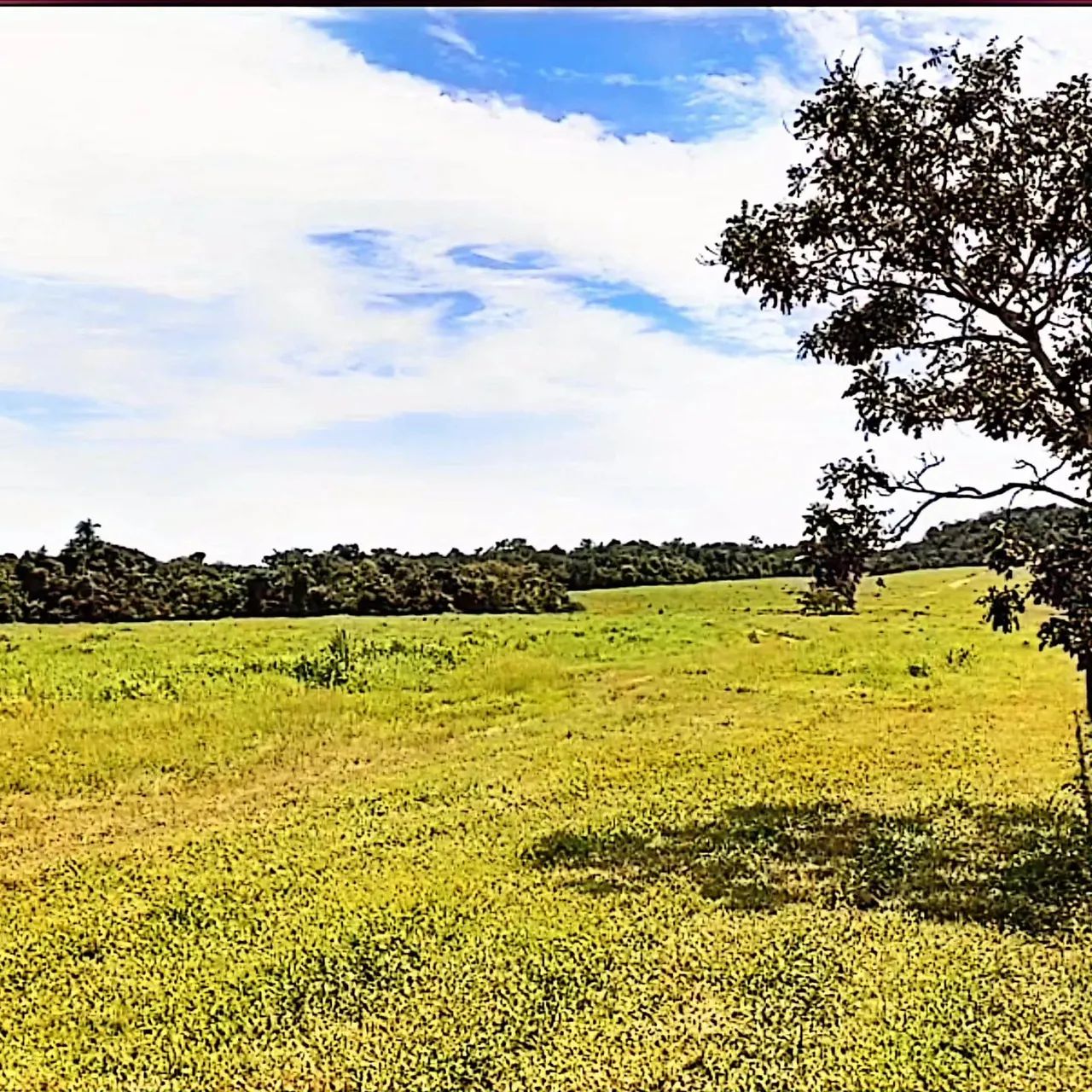 VENDE SE OU ARRENDA SE - Foto 5