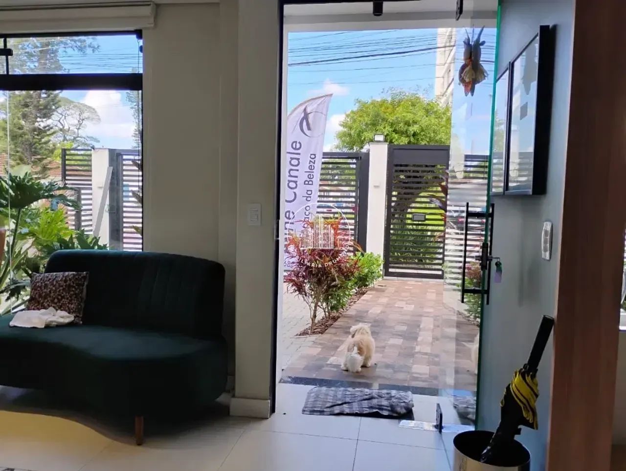 Prédio - 240m², Jardim Atlântico - Foto 2