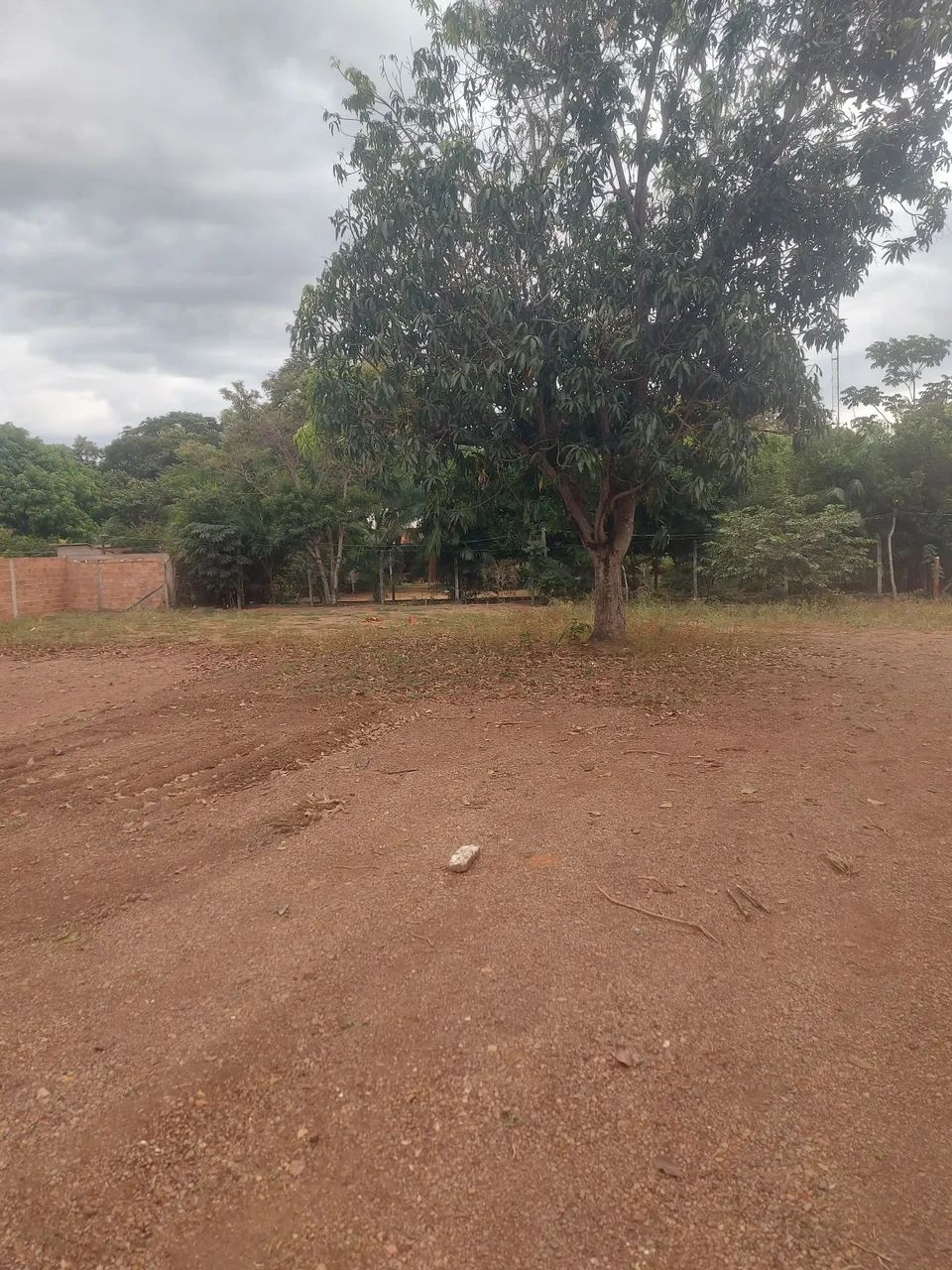 Vendo lote orportumidade - Foto 3