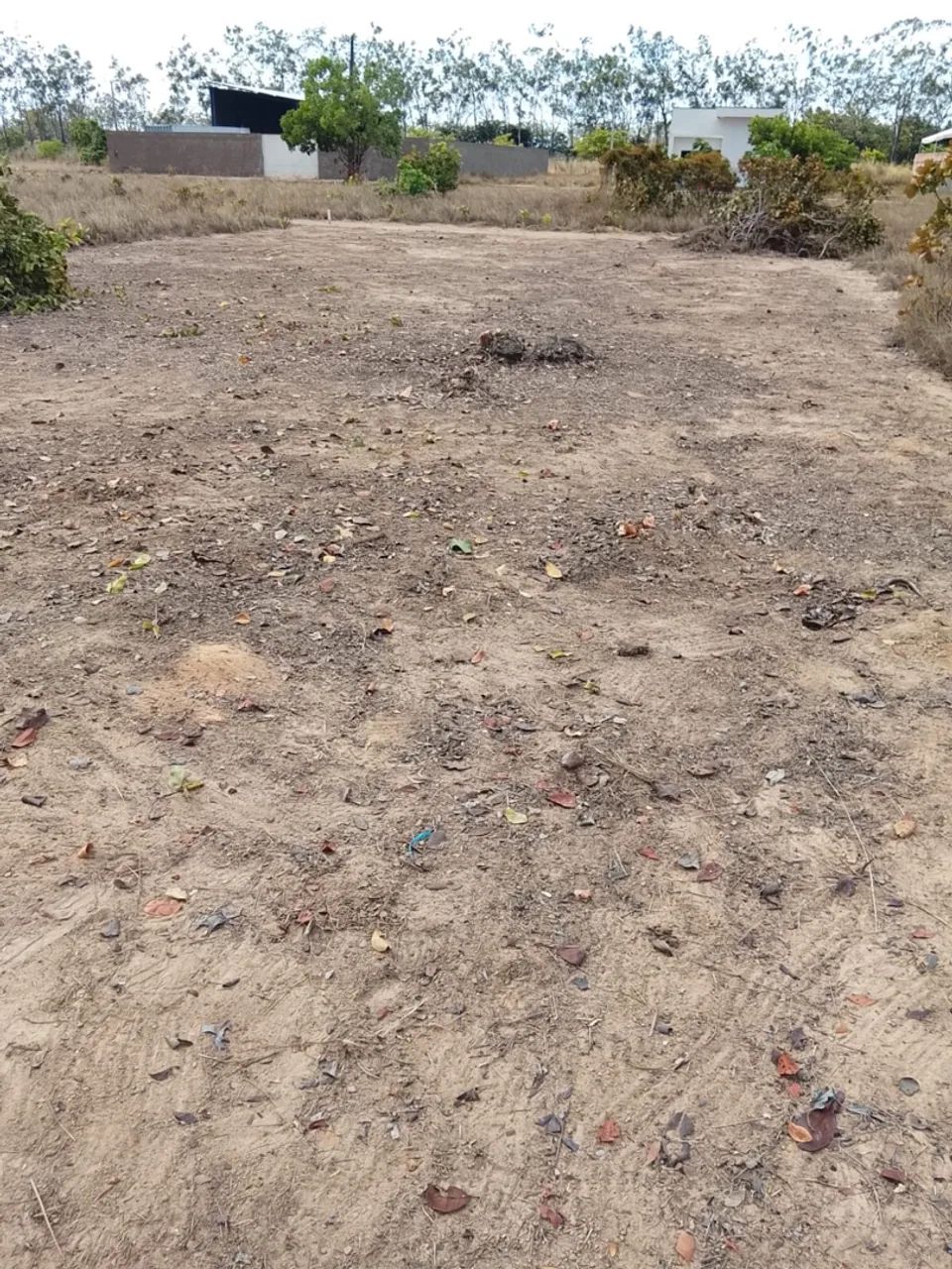 Terreno 