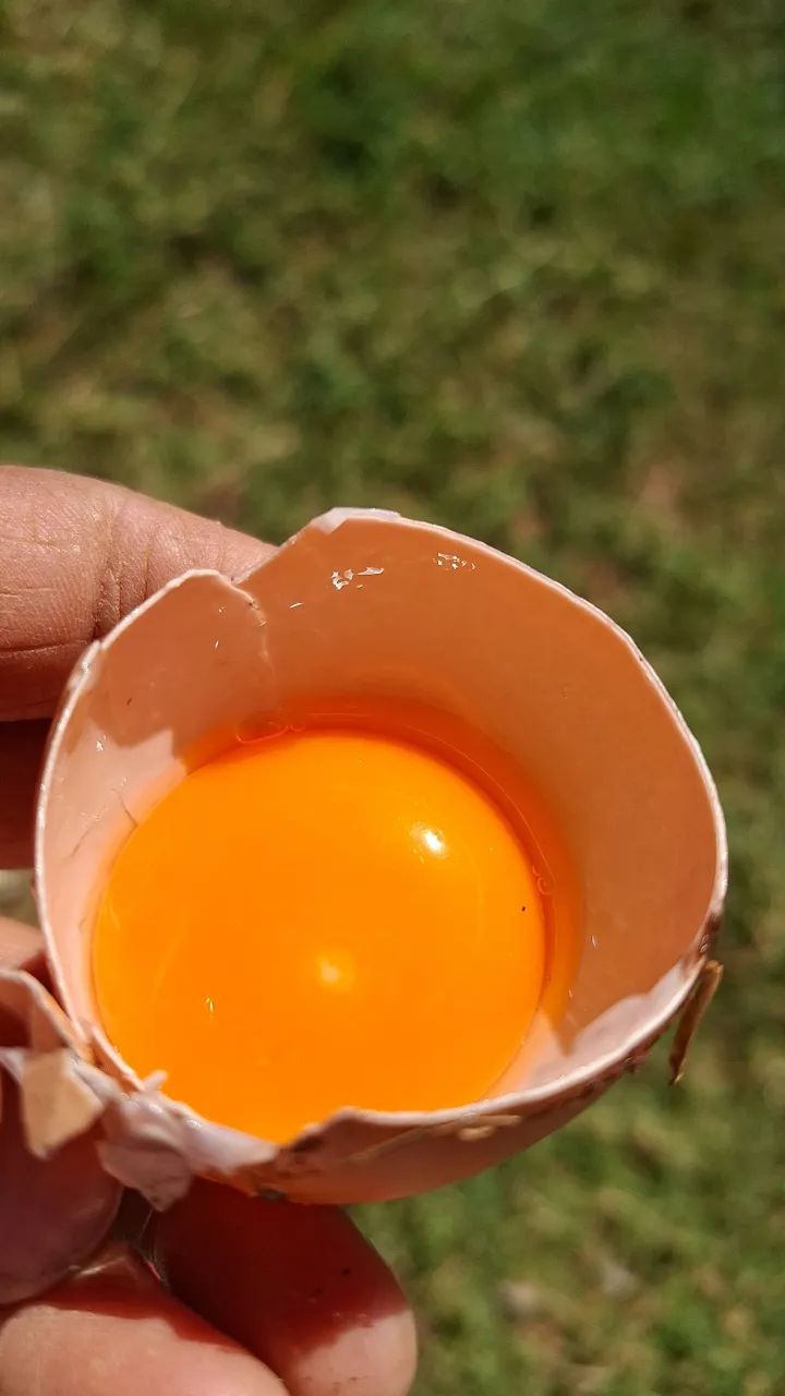 Ovos caipira 