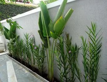 Jardinagem e Paisagismo  - Foto 3
