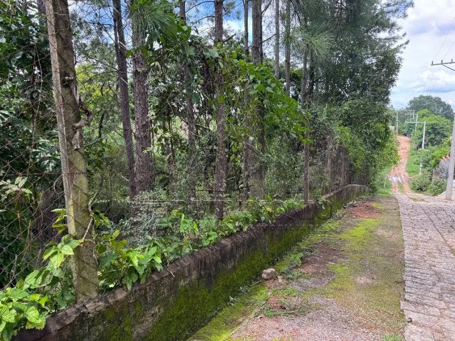 TERRENO CAPUTERA - Foto 2