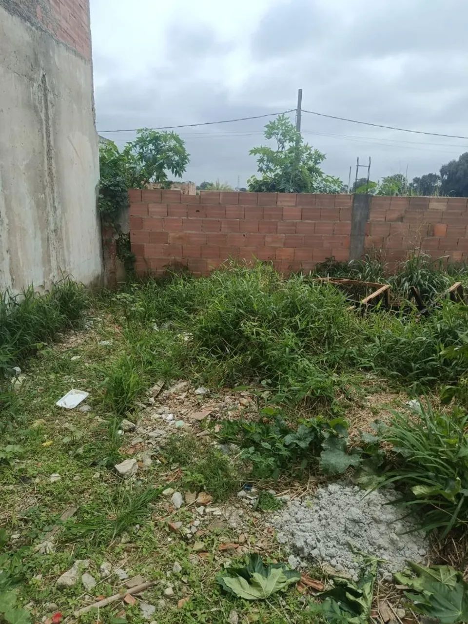 Vendo terreno  - Foto 3