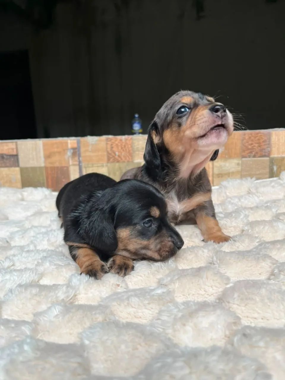 UM IMPÉRIO DE AMOR - Foto 4