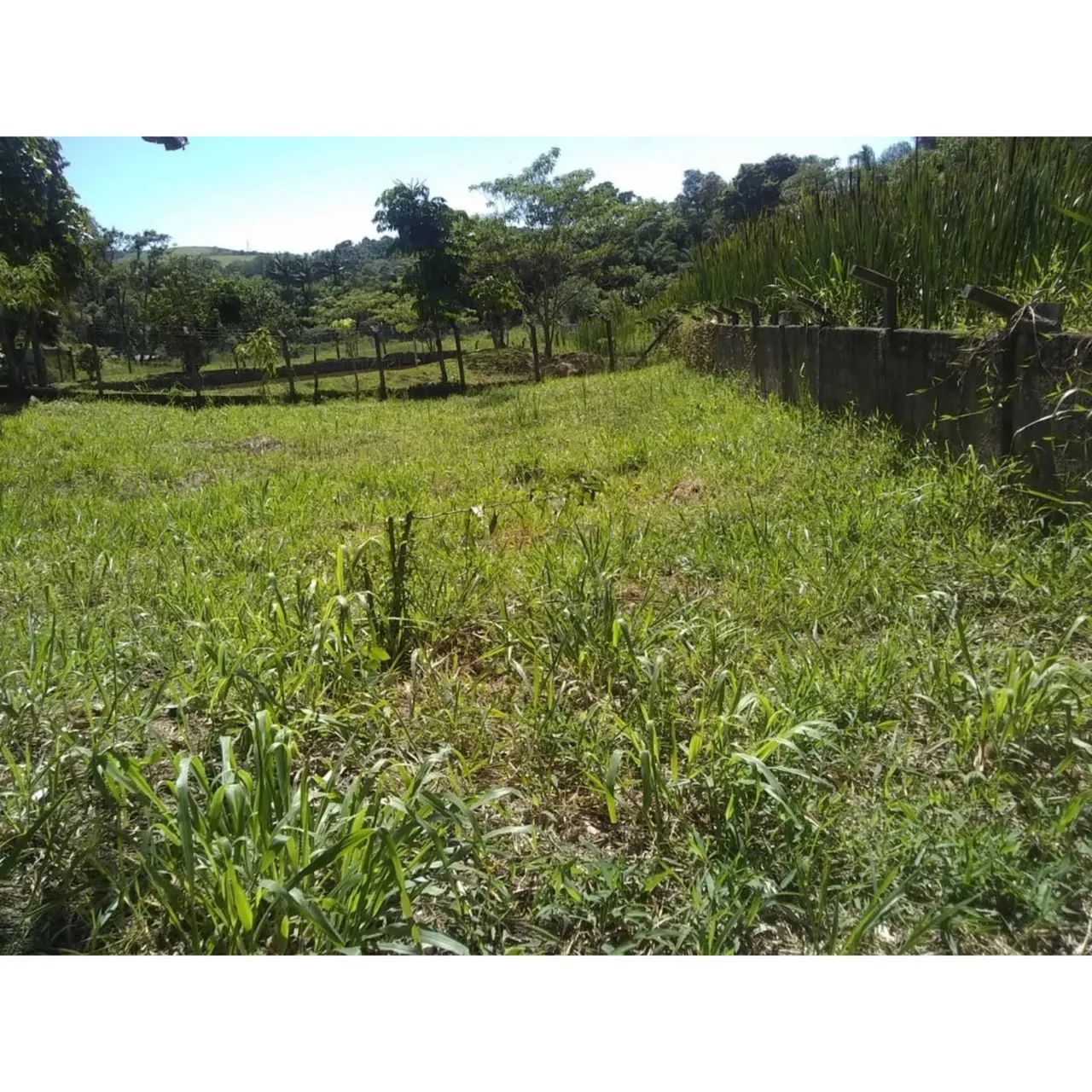 Ótima oportunidade de compra - PARCELADA  - Foto 5