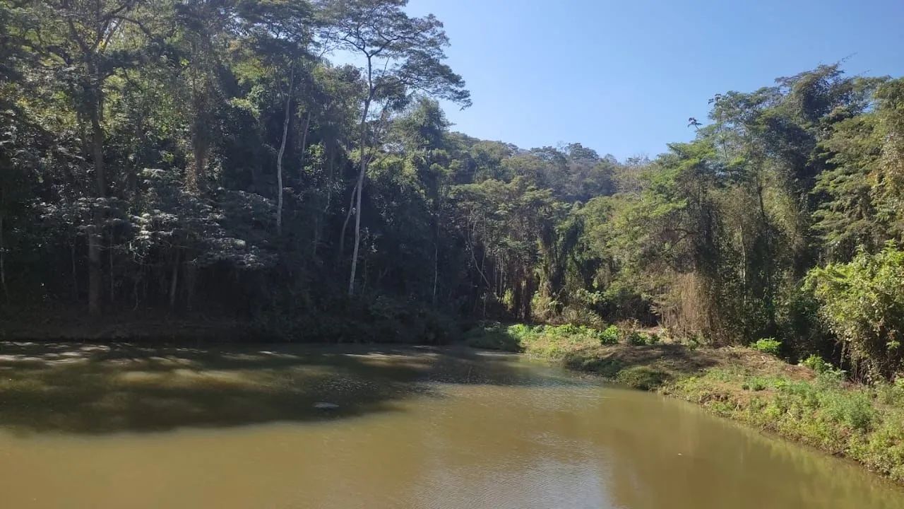 Lindo Sítio em Pirai/RJ - Foto 4