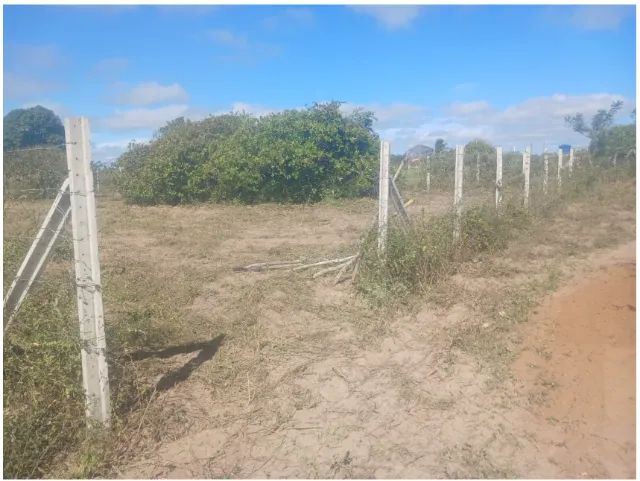 Terreno na Serra de Santana - Foto 2