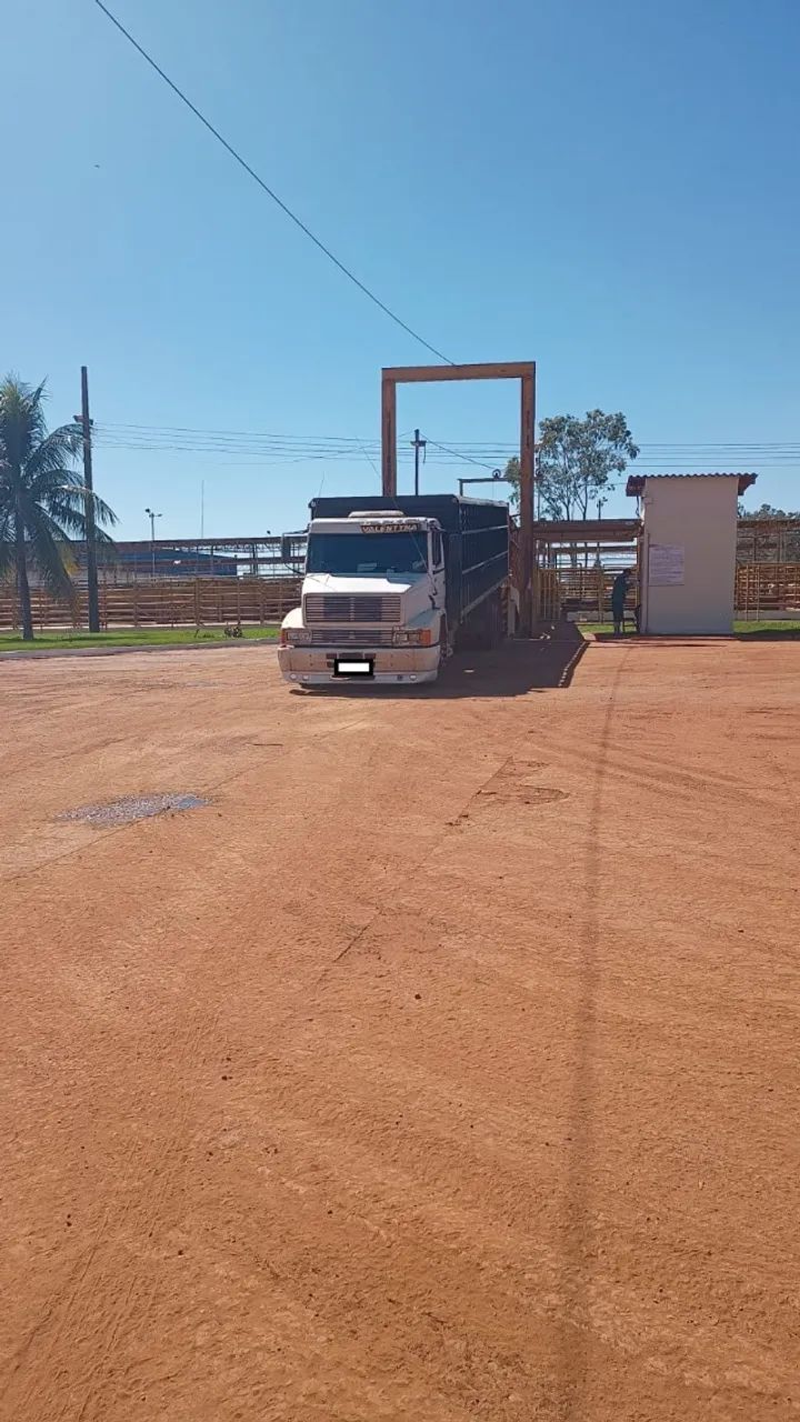 Caminhão boiadeiro Mercedes Benz 1218 - bicudinha dos sonhos Motor do Atego 30 eletrônico - Foto 4