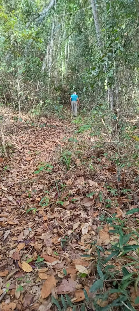 Terreno Itamari - Bahia - Foto 5