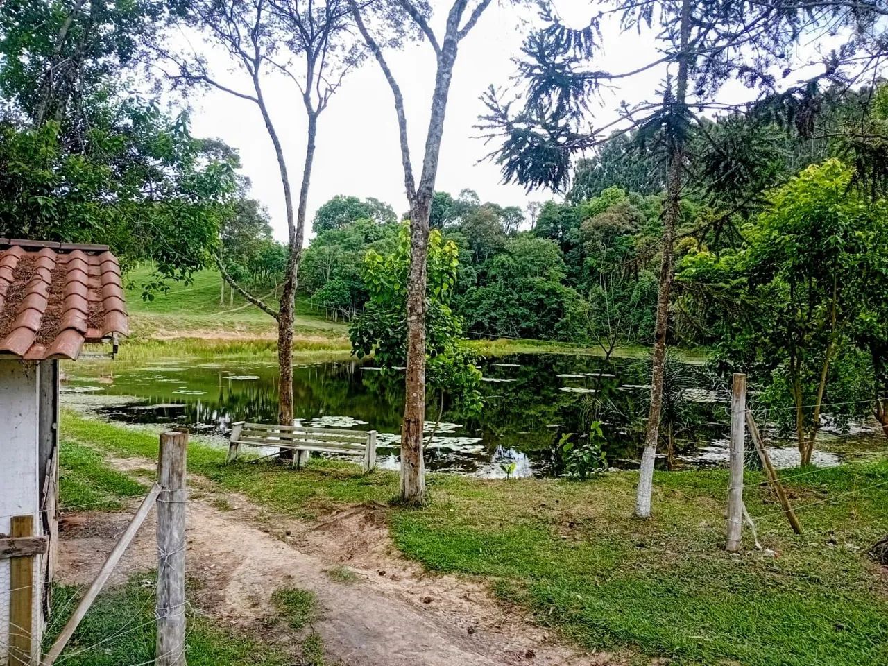 Vende-se três alqueires - Foto 5