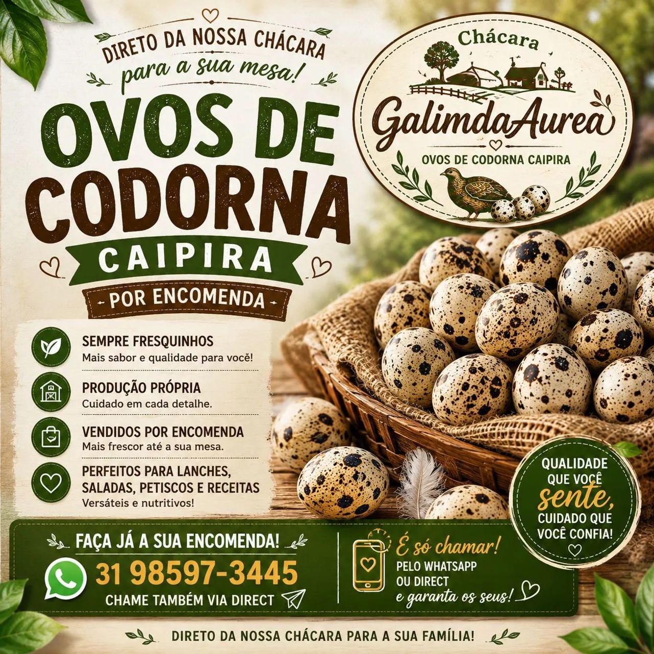Ovos de codorna caipira por encomenda 