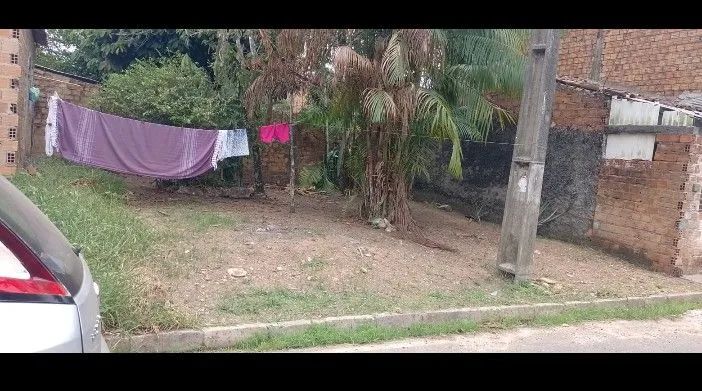 Foto - Ananindeua - Icuí-Guajará