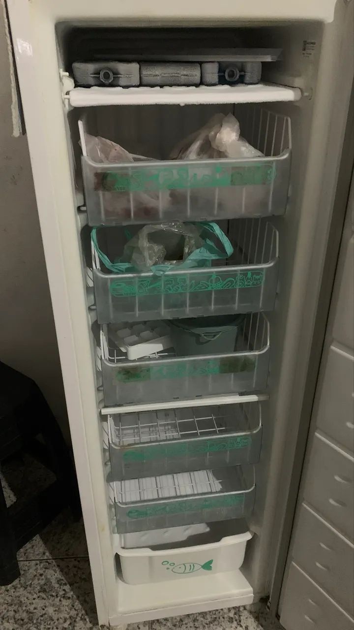 Freezer vertical 
