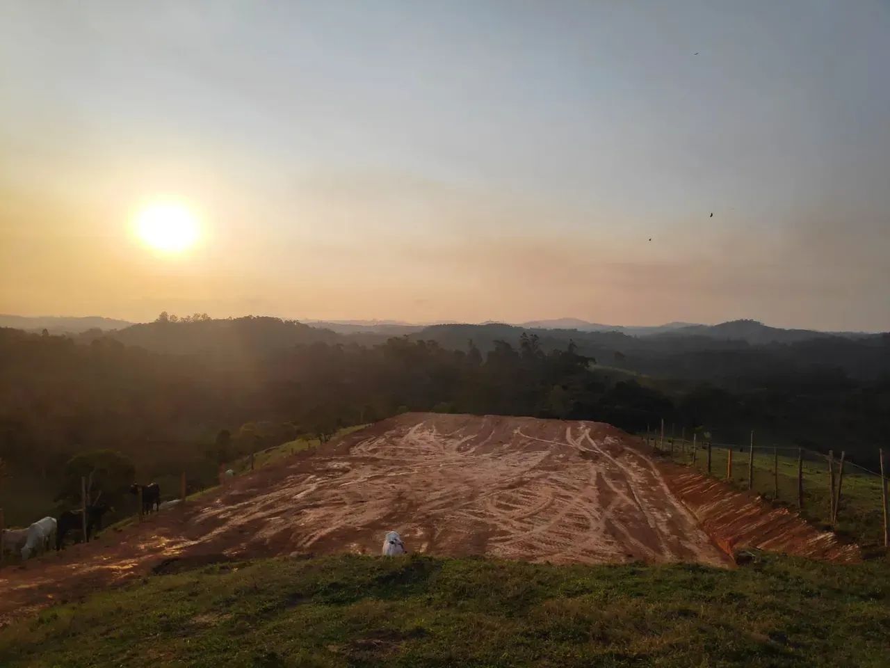 Lote/Terreno para venda com 1000 metros quadrados
