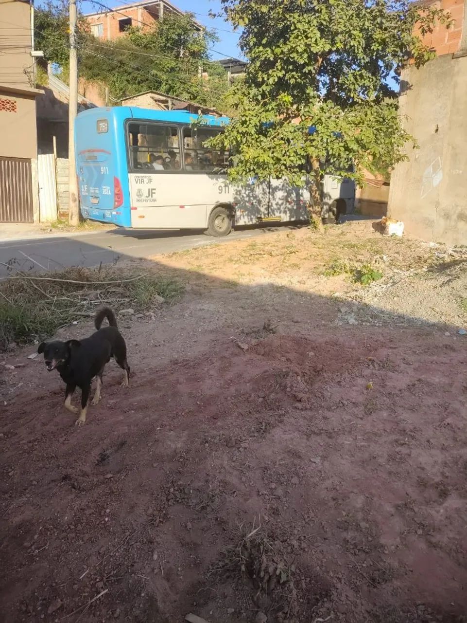 Lote/terreno 10m x 25m  - Foto 2