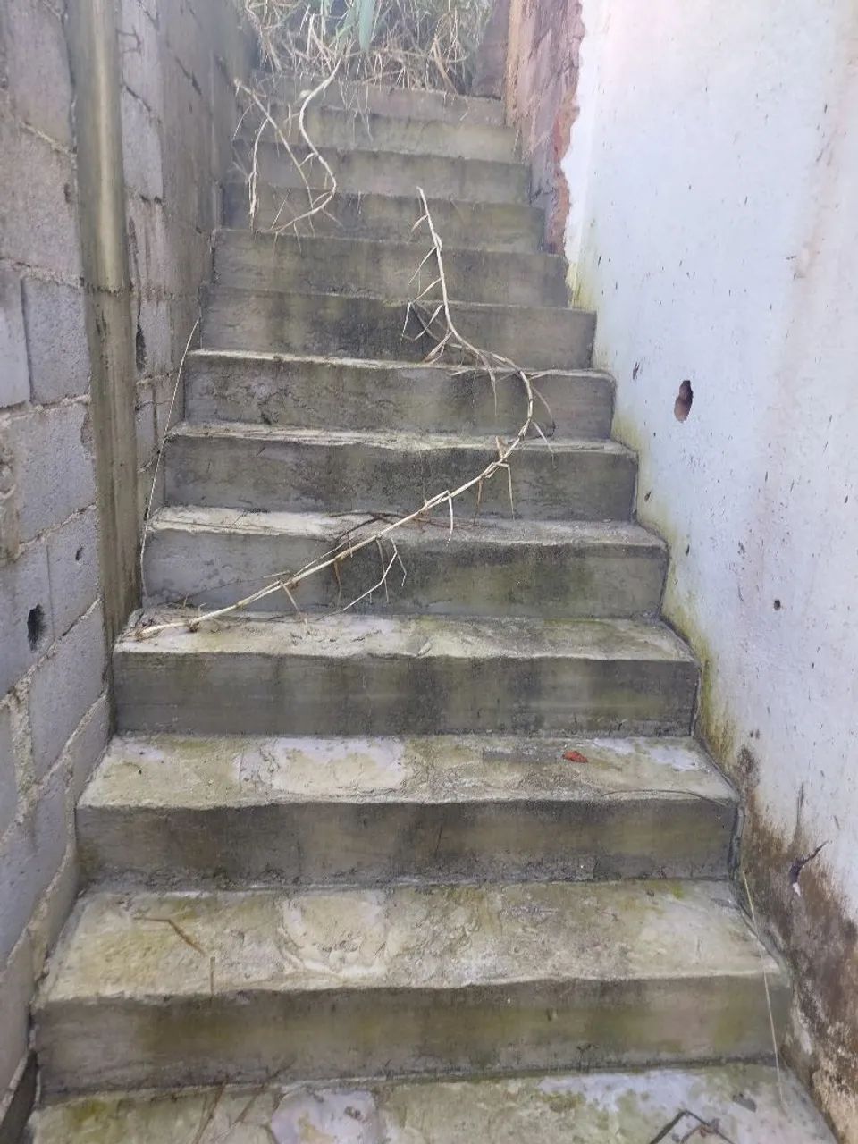 Terreno de meio lote,com casa iniciada e batida laje,dois cômodos e lavabo - Foto 5