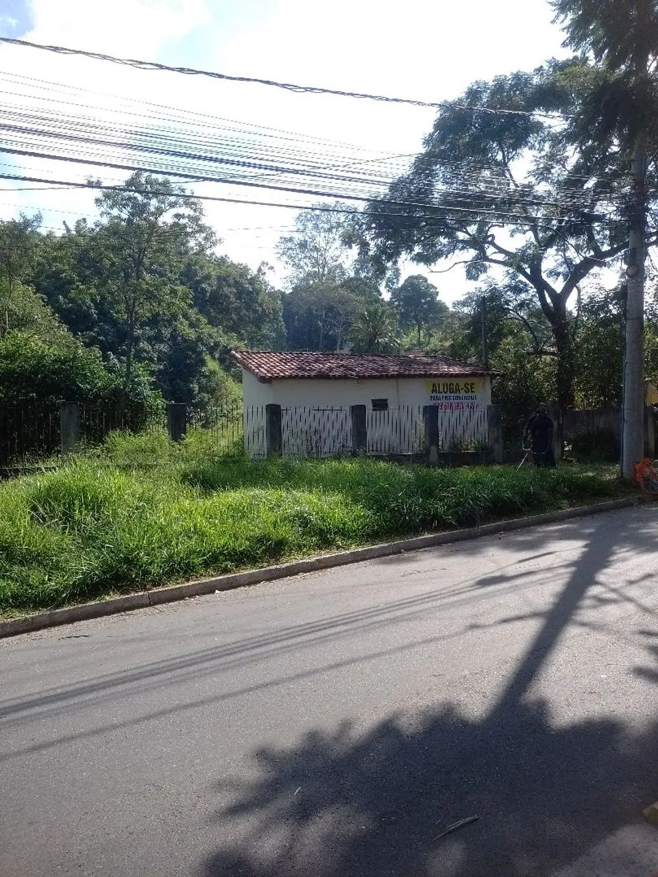 Limpeza de terreno