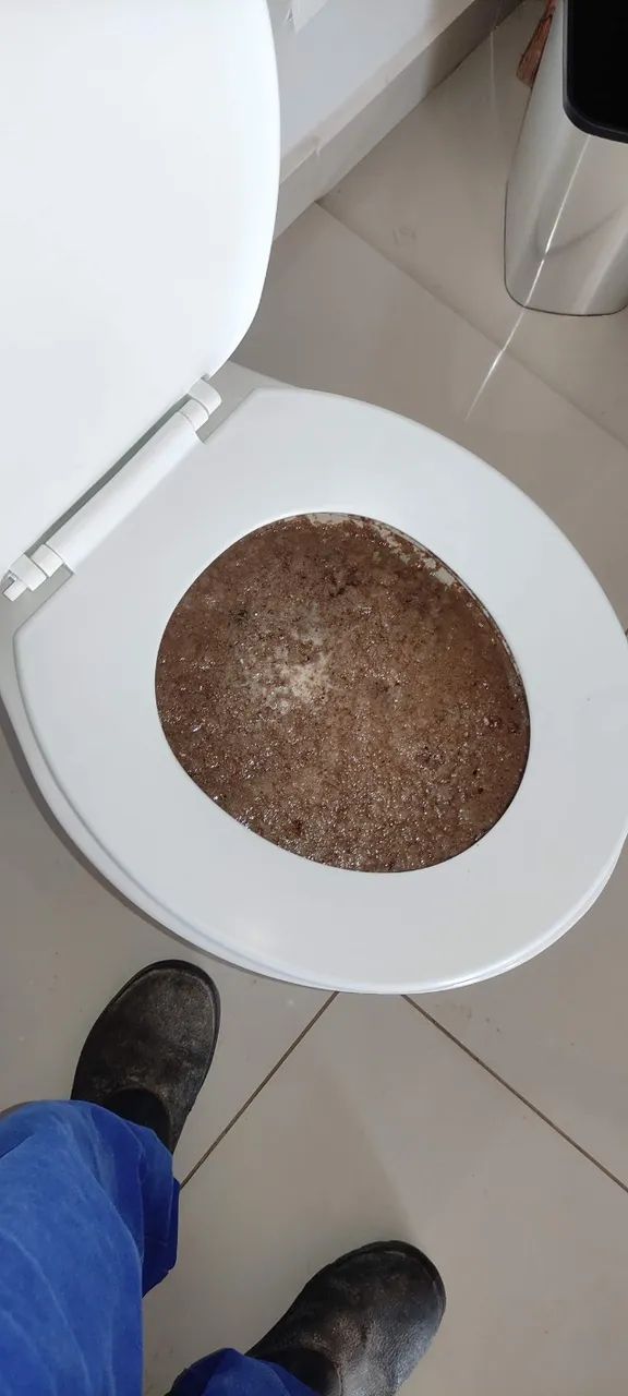 Desentupimento de Vaso Sanitário em Campinas | Atendimento Rápido - Foto 2