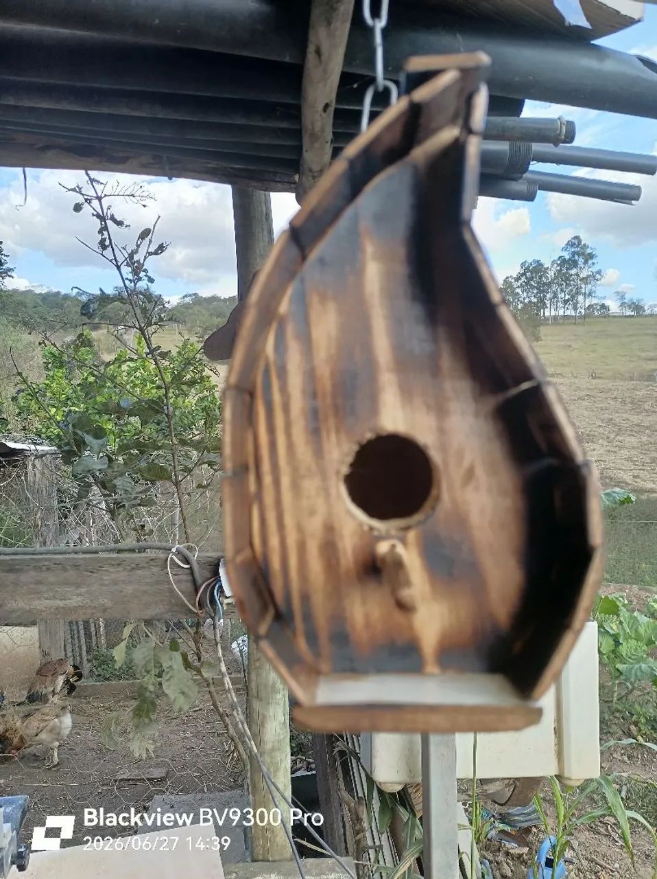 Casa para passarinho chocar