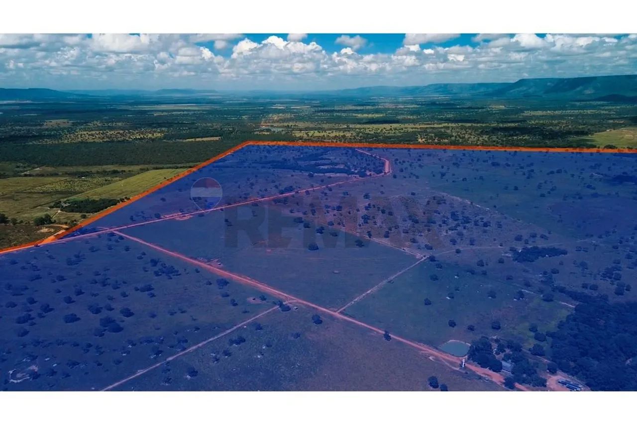 Fazenda em Formosa - Go 773 Ha - Foto 5