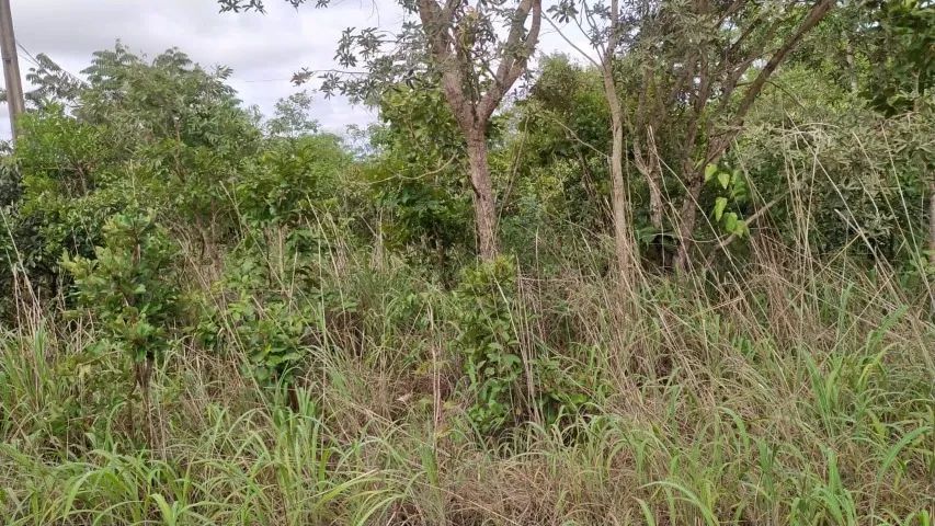 Vendem-se 2 terrenos de 613m2  a 2Km da rotatória da JK com BR 010 - Foto 5