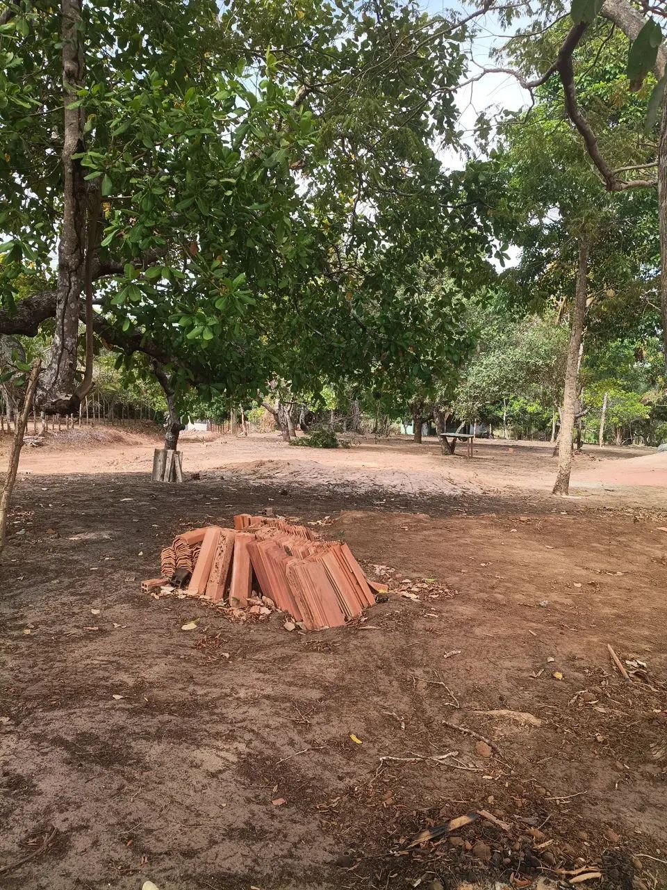 Sítio Venda  - Foto 3