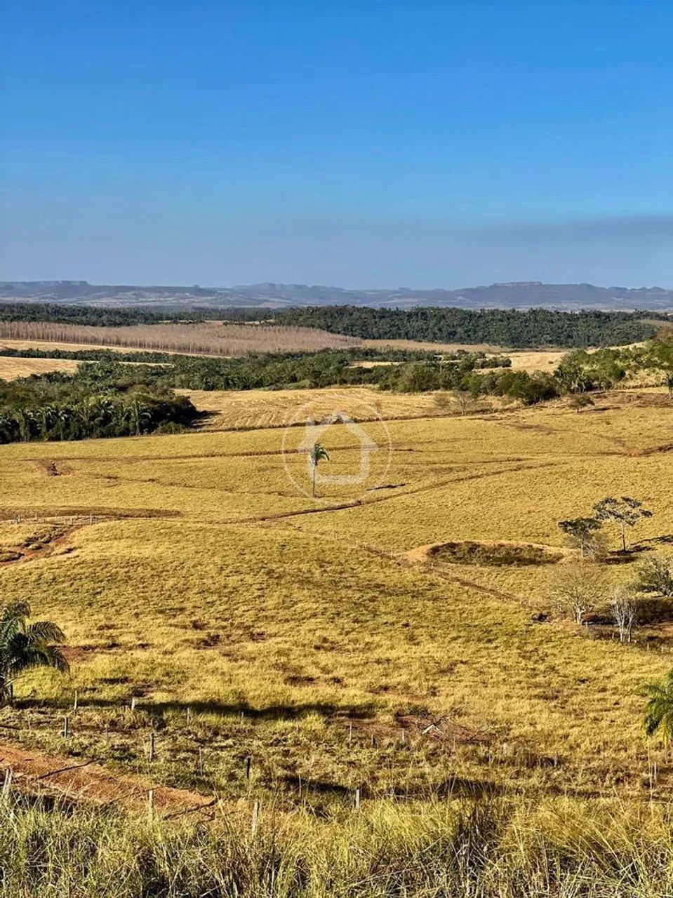 FAZENDA EM JACIARA - Foto 2